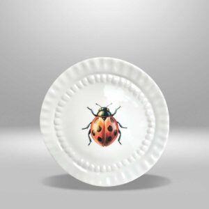 Appetizer - Tortolita- Alas del Alma